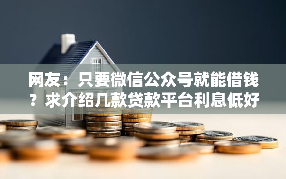 网友：只要微信公众号就能借钱？求介绍几款贷款平台利息低好通过