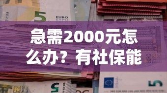 急需2000元怎么办？有社保能贷款的平台试试这6个无门槛平台
