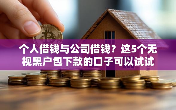 个人借钱与公司借钱？这5个无视黑户包下款的口子可以试试