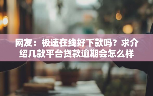 网友：极速在线好下款吗？求介绍几款平台贷款逾期会怎么样