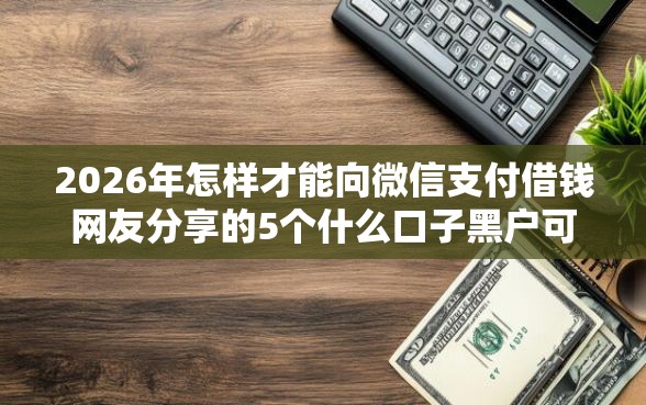 2026年怎样才能向微信支付借钱网友分享的5个什么口子黑户可以下款我觉得不错！