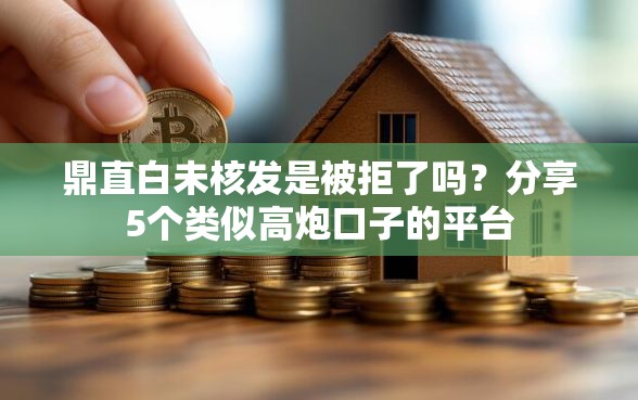 鼎直白未核发是被拒了吗？分享5个类似高炮口子的平台