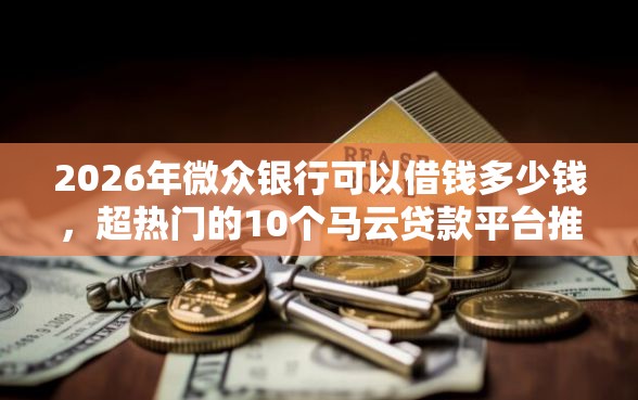 2026年微众银行可以借钱多少钱，超热门的10个马云贷款平台推荐