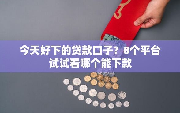 今天好下的贷款口子？8个平台试试看哪个能下款