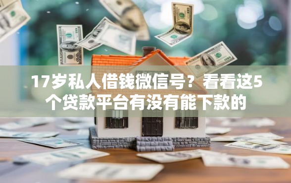 17岁私人借钱微信号？看看这5个贷款平台有没有能下款的