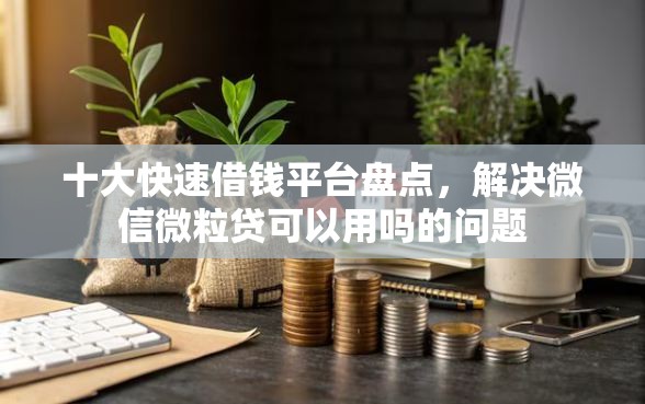 十大快速借钱平台盘点，解决微信微粒贷可以用吗的问题