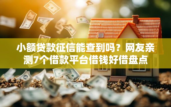 小额贷款征信能查到吗?网友亲测7个借款平台借钱好借盘点 小额贷款征信能查到吗?网友亲测7个借款平台借钱好借盘点