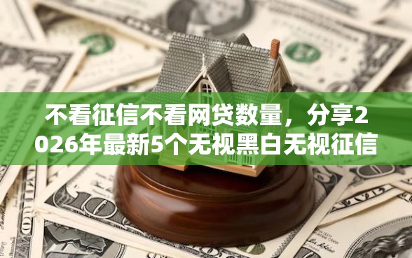 不看征信不看网贷数量，分享2026年最新5个无视黑白无视征信申请就下款的口子