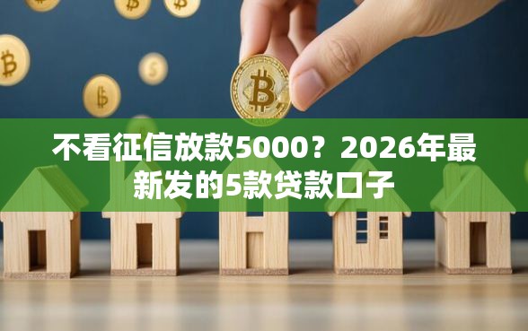 不看征信放款5000?2026年最新发的5款贷款口子 不看征信放款5000?2026年最新发的5款贷款口子