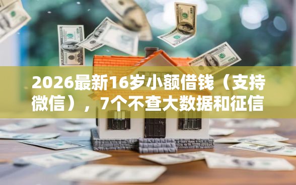 2026最新16岁小额借钱（支持微信），7个不查大数据和征信的贷款平台无私分享