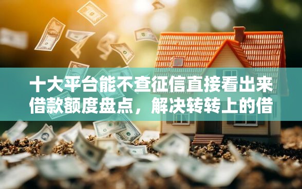 十大平台能不查征信直接看出来借款额度盘点，解决转转上的借钱能借钱吗的问题