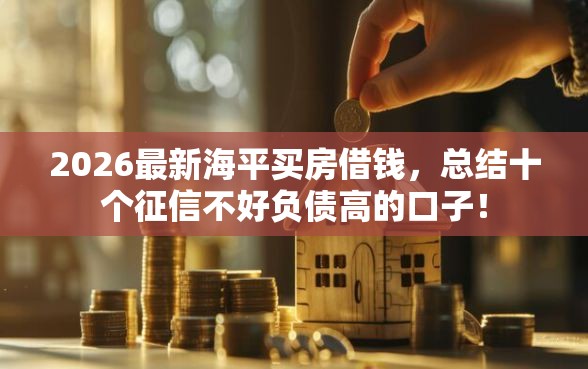 2026最新海平买房借钱，总结十个征信不好负债高的口子！