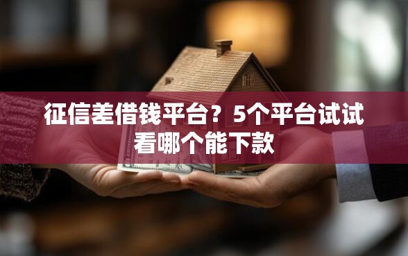 征信差借钱平台？5个平台试试看哪个能下款