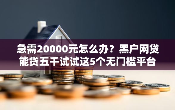急需20000元怎么办？黑户网贷能贷五千试试这5个无门槛平台