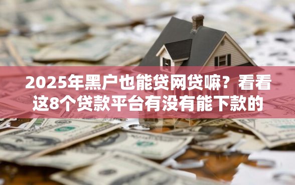 2025年黑户也能贷网贷嘛？看看这8个贷款平台有没有能下款的