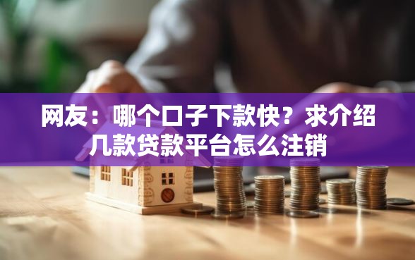 网友：哪个口子下款快？求介绍几款贷款平台怎么注销