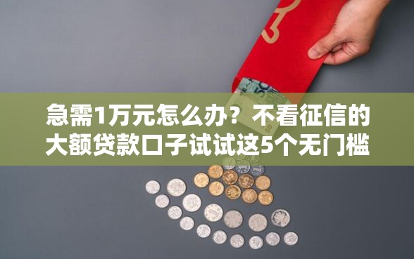 急需1万元怎么办？不看征信的大额贷款口子试试这5个无门槛平台