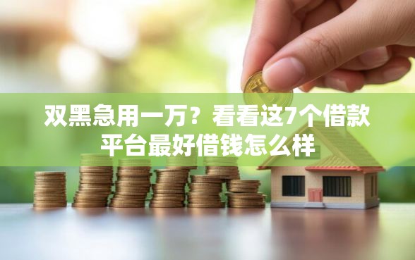 双黑急用一万？看看这7个借款平台最好借钱怎么样