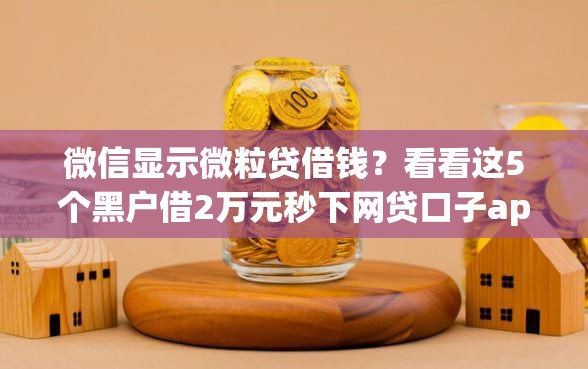 微信显示微粒贷借钱?看看这5个黑户借2万元秒下网贷口子app怎么样 微信显示微粒贷借钱?看看这5个黑户借2万元秒下网贷口子app怎么样