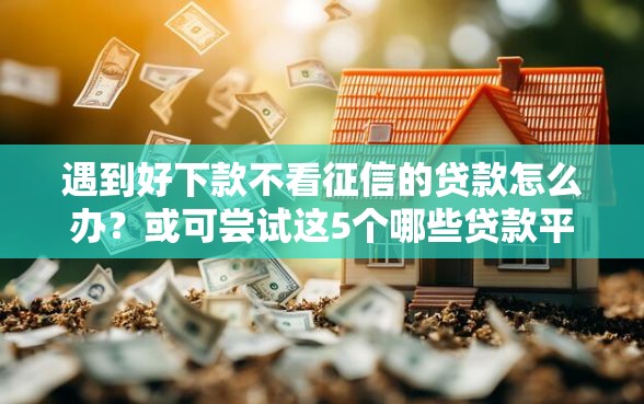 遇到好下款不看征信的贷款怎么办？或可尝试这5个哪些贷款平台容易下款