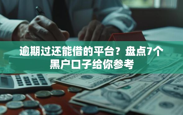 逾期过还能借的平台？盘点7个黑户口子给你参考