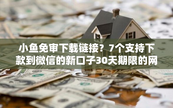 小鱼免审下载链接？7个支持下款到微信的新口子30天期限的网贷
