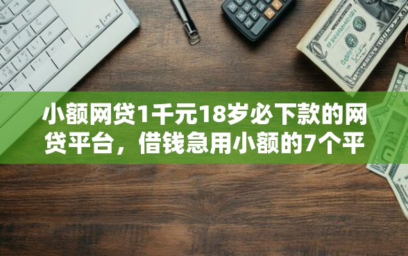 小额网贷1千元18岁必下款的网贷平台，借钱急用小额的7个平台介绍