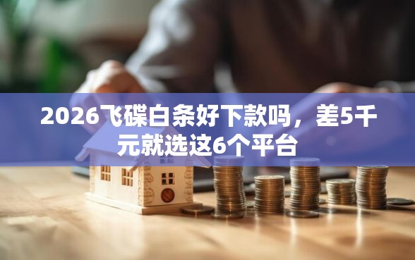 2026飞碟白条好下款吗，差5千元就选这6个平台