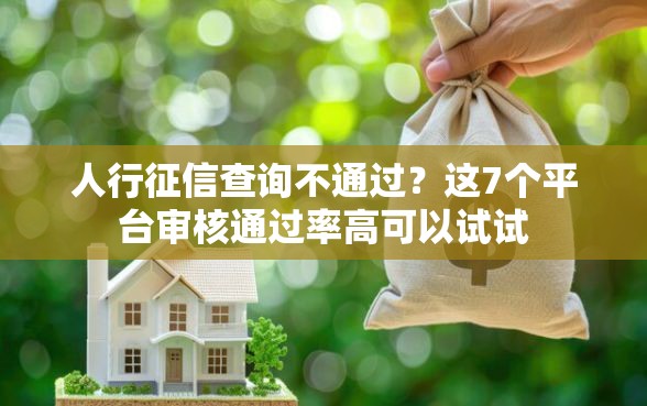 人行征信查询不通过？这7个平台审核通过率高可以试试