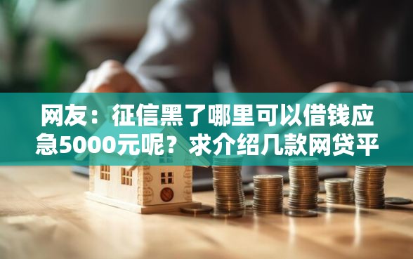 网友：征信黑了哪里可以借钱应急5000元呢？求介绍几款网贷平台怎么投诉
