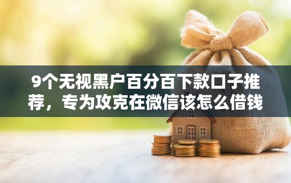 9个无视黑户百分百下款口子推荐，专为攻克在微信该怎么借钱难题