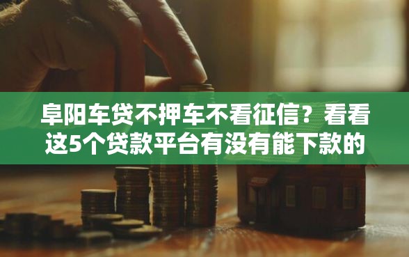 阜阳车贷不押车不看征信？看看这5个贷款平台有没有能下款的