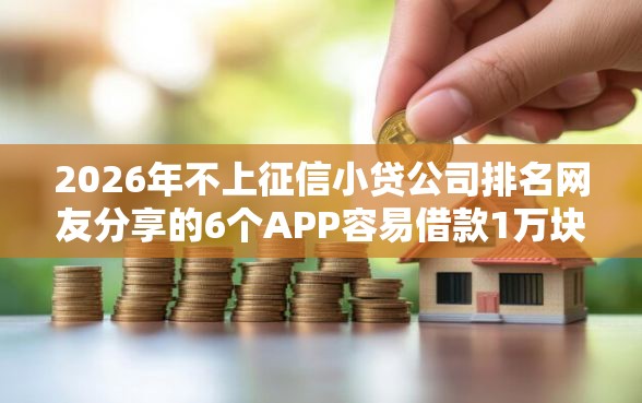 2026年不上征信小贷公司排名网友分享的6个APP容易借款1万块的软件我觉得不错！