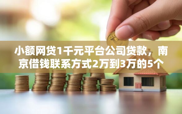 小额网贷1千元平台公司贷款,南京借钱联系方式2万到3万的5个平台介绍 小额网贷1千元平台公司贷款,南京借钱联系方式2万到3万的5个平台介绍
