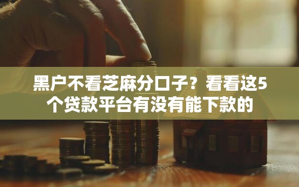 黑户不看芝麻分口子?看看这5个贷款平台有没有能下款的 黑户不看芝麻分口子?看看这5个贷款平台有没有能下款的