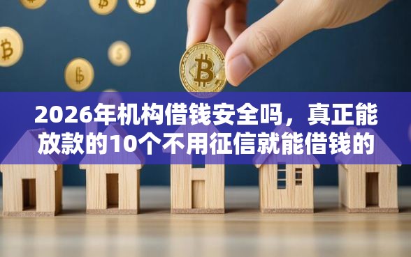 2026年机构借钱安全吗，真正能放款的10个不用征信就能借钱的平台推荐