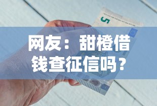 网友：甜橙借钱查征信吗？求介绍几款和招联金融一样的贷款平台