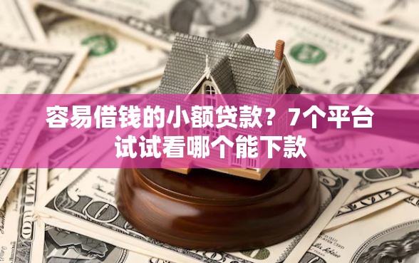 容易借钱的小额贷款？7个平台试试看哪个能下款