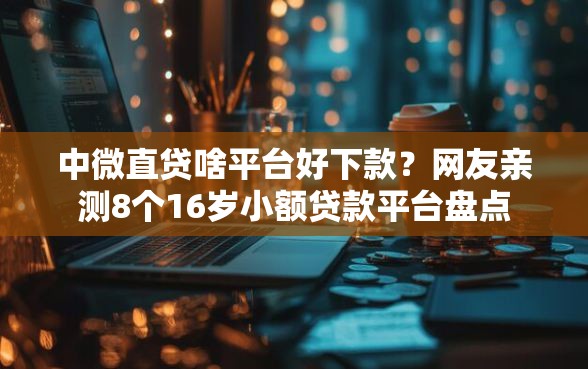 中微直贷啥平台好下款？网友亲测8个16岁小额贷款平台盘点
