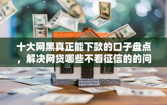 十大网黑真正能下款的口子盘点，解决网贷哪些不看征信的的问题