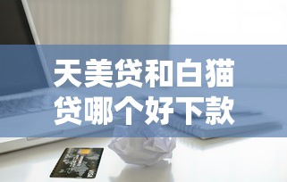天美贷和白猫贷哪个好下款？这5个有信用卡就能贷款的平台可以试试