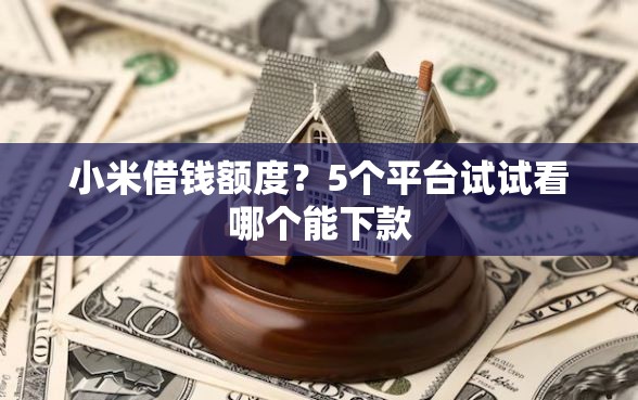 小米借钱额度？5个平台试试看哪个能下款