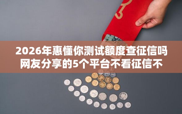 2026年惠懂你测试额度查征信吗网友分享的5个平台不看征信不看负债可以贷到钱我觉得不错！
