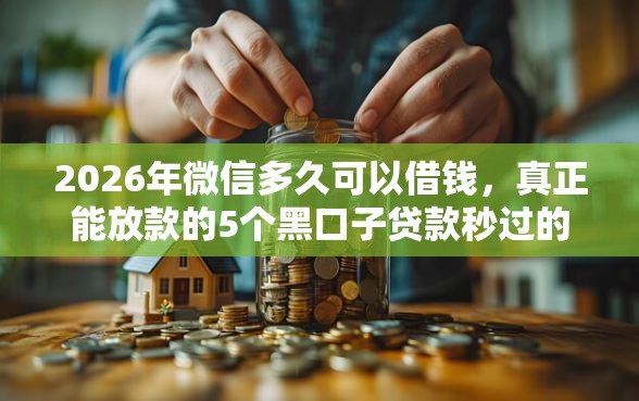 2026年微信多久可以借钱,真正能放款的5个黑口子贷款秒过的口子推荐 2026年微信多久可以借钱,真正能放款的5个黑口子贷款秒过的口子推荐