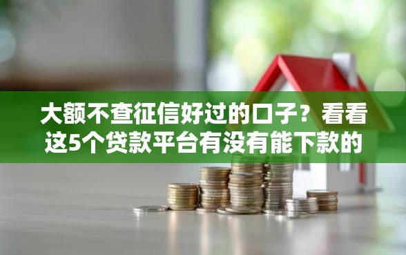 大额不查征信好过的口子?看看这5个贷款平台有没有能下款的 大额不查征信好过的口子?看看这5个贷款平台有没有能下款的