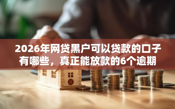 2026年网贷黑户可以贷款的口子有哪些,真正能放款的6个逾期严重负债高能下款的平台推荐 2026年网贷黑户可以贷款的口子有哪些,真正能放款的6个逾期严重负债高能下款的平台推荐