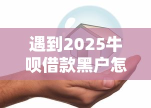 遇到2025牛呗借款黑户怎么办？或可尝试这5个哪家贷款平台好