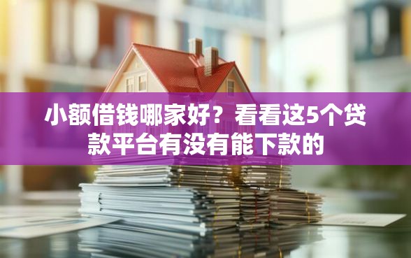 小额借钱哪家好？看看这5个贷款平台有没有能下款的