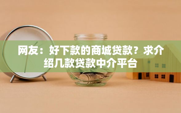 网友：好下款的商城贷款？求介绍几款贷款中介平台