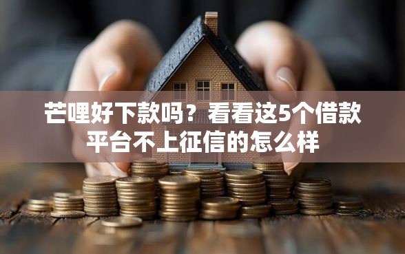 芒哩好下款吗?看看这5个借款平台不上征信的怎么样 芒哩好下款吗?看看这5个借款平台不上征信的怎么样